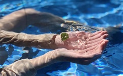 冬月枫家庭教师